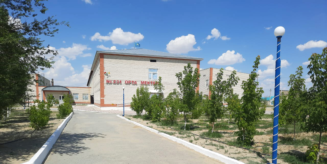 Қызылорда облысының білім басқармасының Арал ауданы бойынша білім бөлімінің «№231 орта мектебі» коммуналдық мемлекеттік мекемесі.